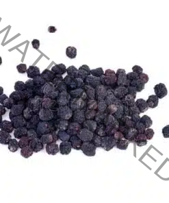 Aronia berry