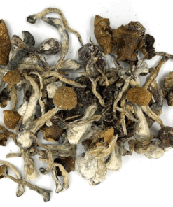 Dried White Rabbit mushroom