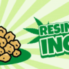 Resin Herbal Incense for sale online